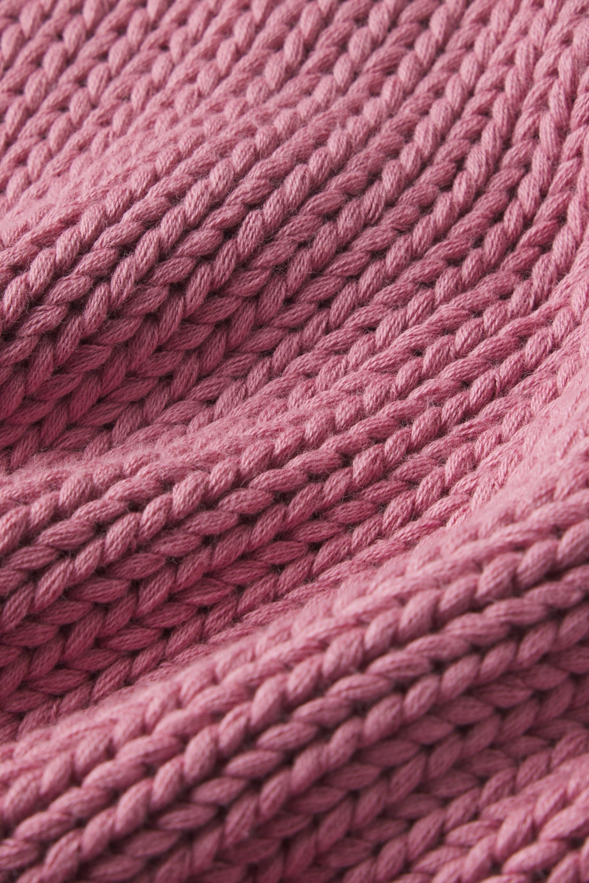 Jane Cotton Sweater in Light Camellia