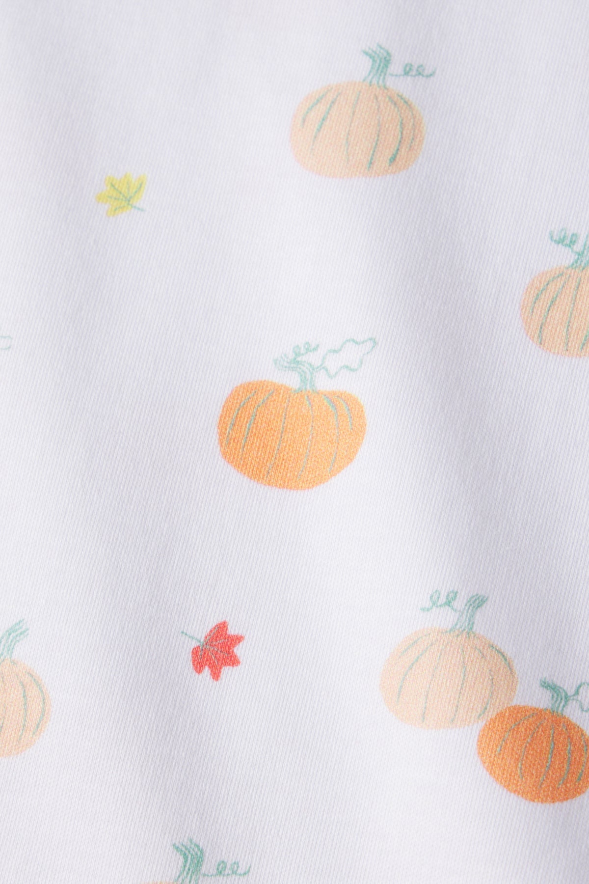 Kids Shorts Set in Pumpkin Patch